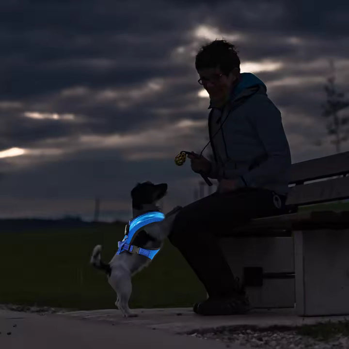 LED Szelki dla psów USB ładowalne i regulowane