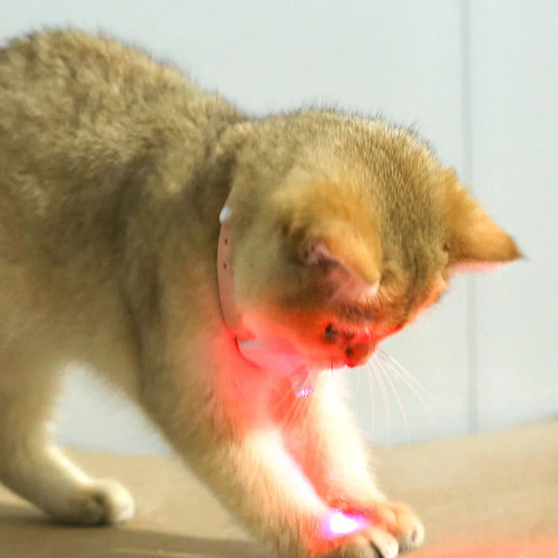 Kolarz Laserowy Freesthetic dla Kotów