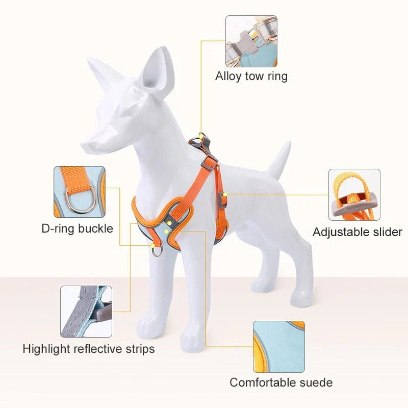 Odblaskowy Szelki dla Szczeniaka – PawSafe
