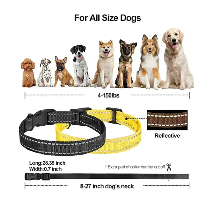 Rechargeable Electric Dog Training Collar with Remote &amp; 1000m Range – PetControl