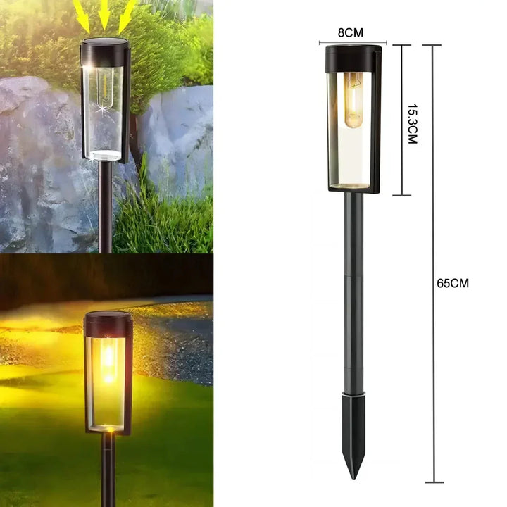 EcoShine (2 sztuki)
