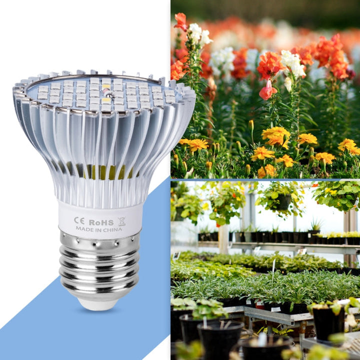 Lampa do wzrostu roślin LED Pełne spektrum E27, Światło do roślin, Moc: 30W 40 diod LED