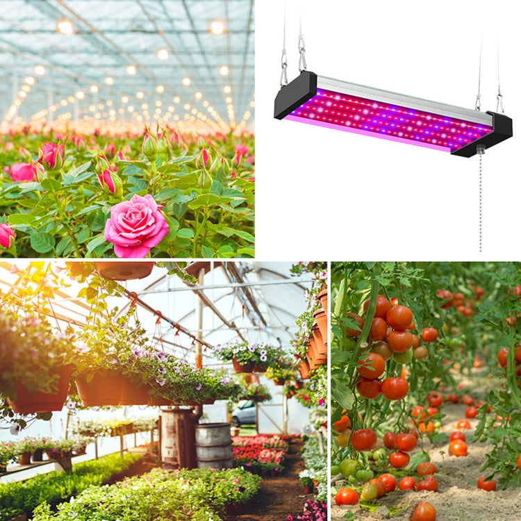 Lampa wzrostowa LED pełnospektralna, lampa do roślin, rurka, Styl: Mała podwójna rząd 100 cm (wtyczka EU)