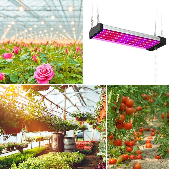 Lampa wzrostowa LED pełnospektralna, lampa do roślin, rurka, Styl: Mała podwójna rząd 100 cm (wtyczka EU)