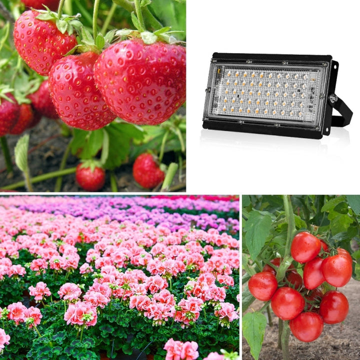 Lampa LED do roślin, pełne spektrum, wodoodporna, lampa do wzrostu, wtyczka EU, 144 diody, 200W