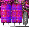 4 głowice 12V Pełnospektralna Lampa LED do Wzrostu Roślin Czerwone i Niebieskie Światło do Siewek (wtyczka EU)