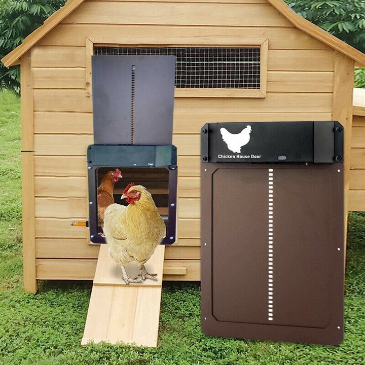 Poultry PRO+ | Automatyczne Drzwi dla Kur