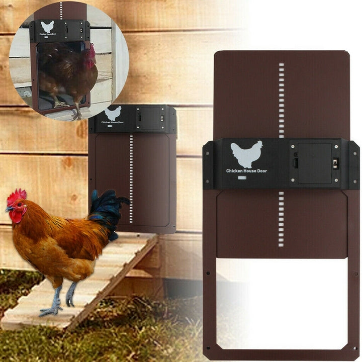 Poultry PRO+ | Automatyczne Drzwi dla Kur