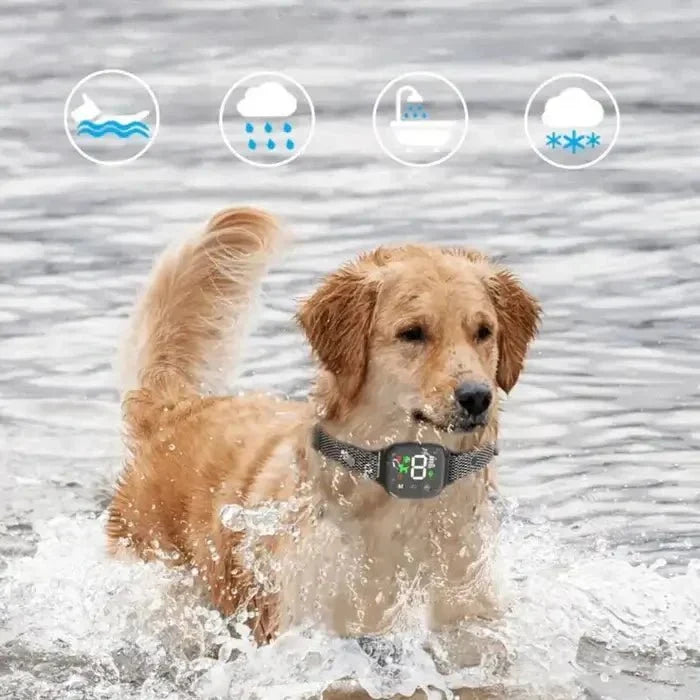 BarkPro • Obroża dla psa z ekranem dotykowym