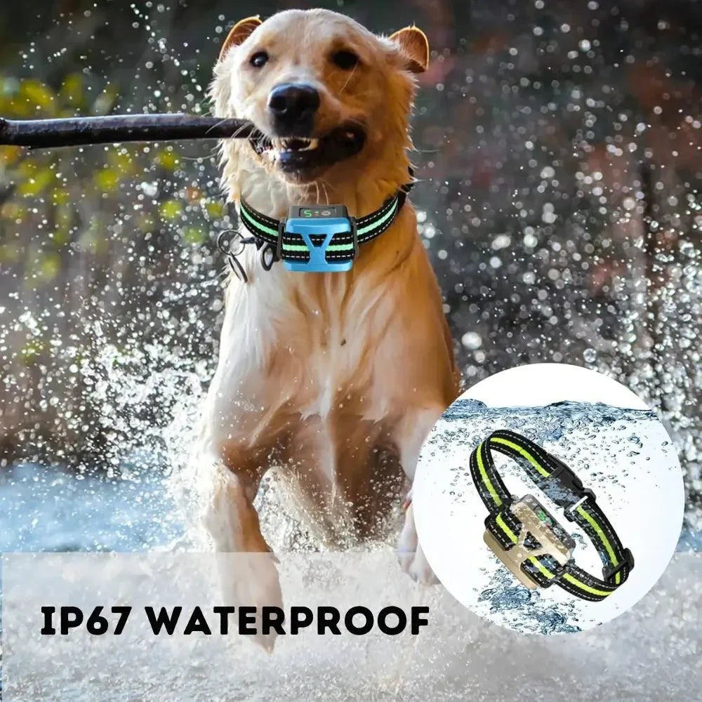 BarkSmart • Rechargable Anti-Bark Collar
