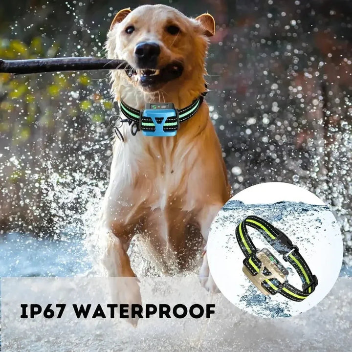 BarkSmart • Rechargable Anti-Bark Collar