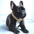 BlingPaws • Złoty łańcuszek dla psa