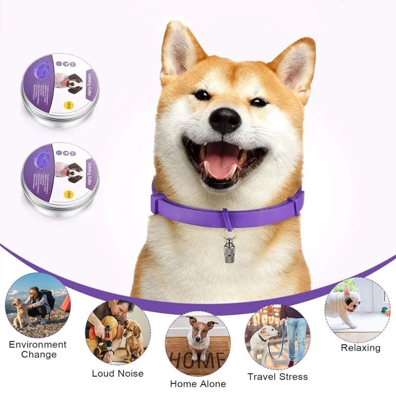 Calmdog – Naturalny Kołnierz Uspokajający dla Psów z Feromonami i Olejkami Eterycznymi
