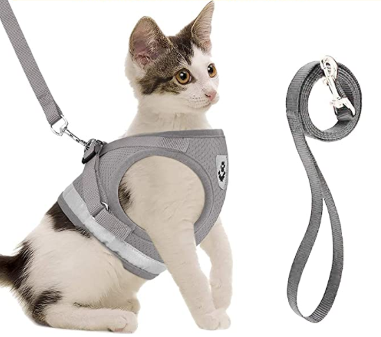 Szelki dla kota z linką - AdventureKit