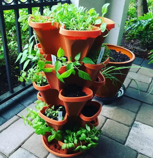 Ogród pionowy - PlantStack - Oszczędność miejsca - Zielone rozwiązanie
