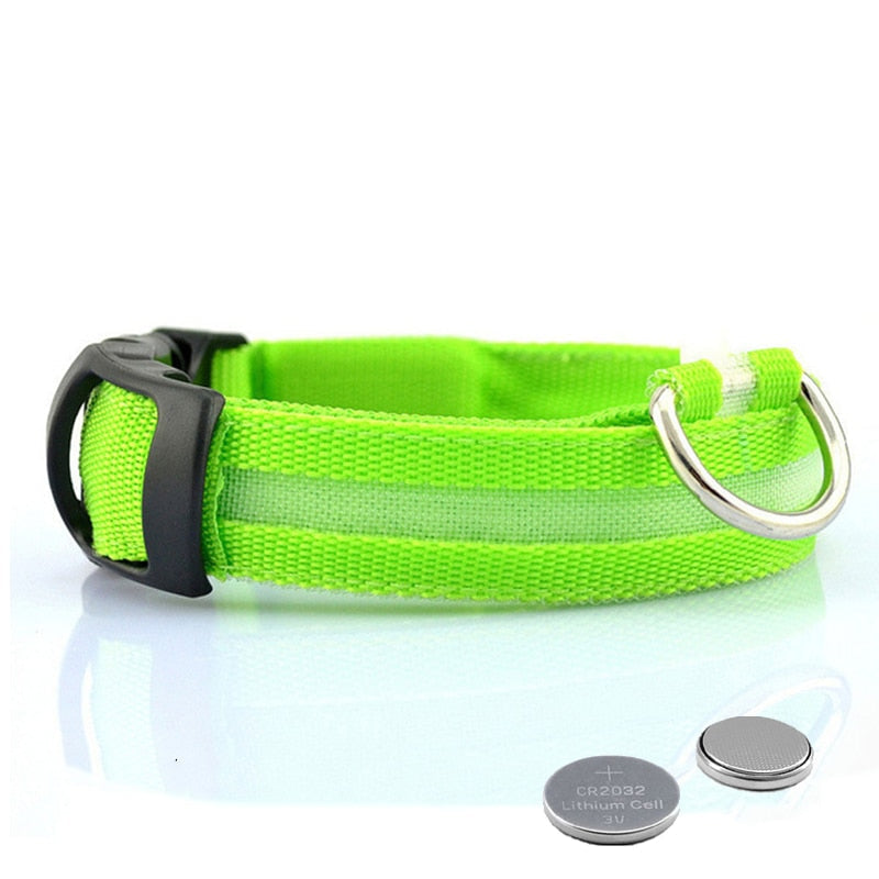 Obroża dla psa z oświetleniem LED - GlowCollar