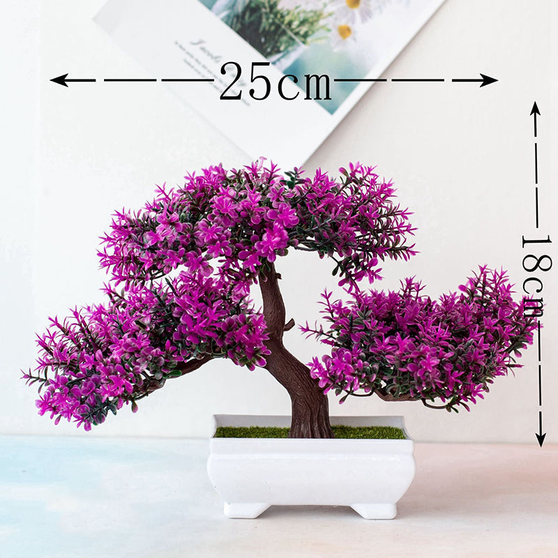 Bonsai roślinny