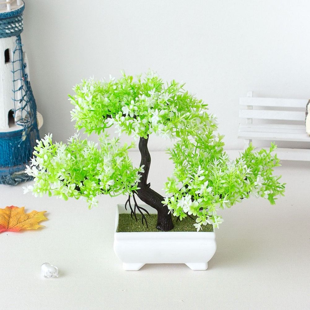 Bonsai roślinny