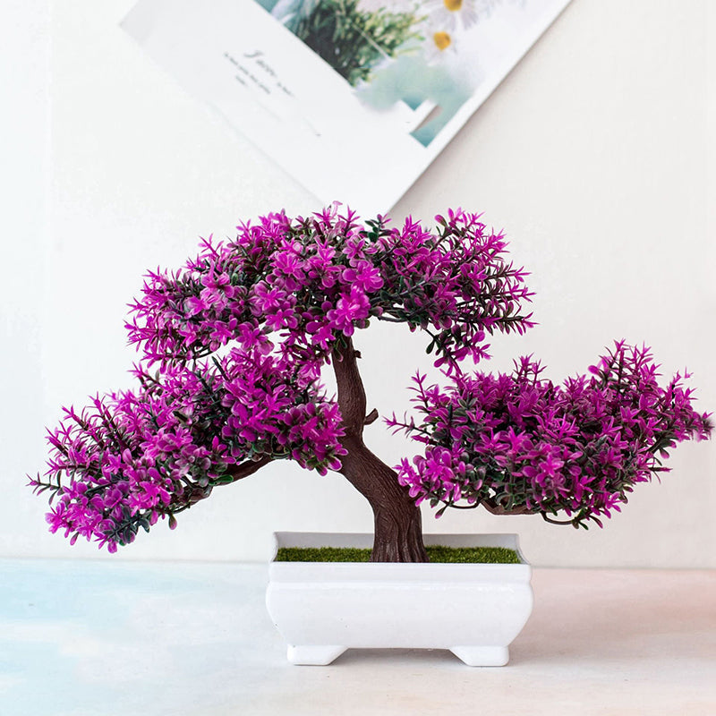 Bonsai roślinny