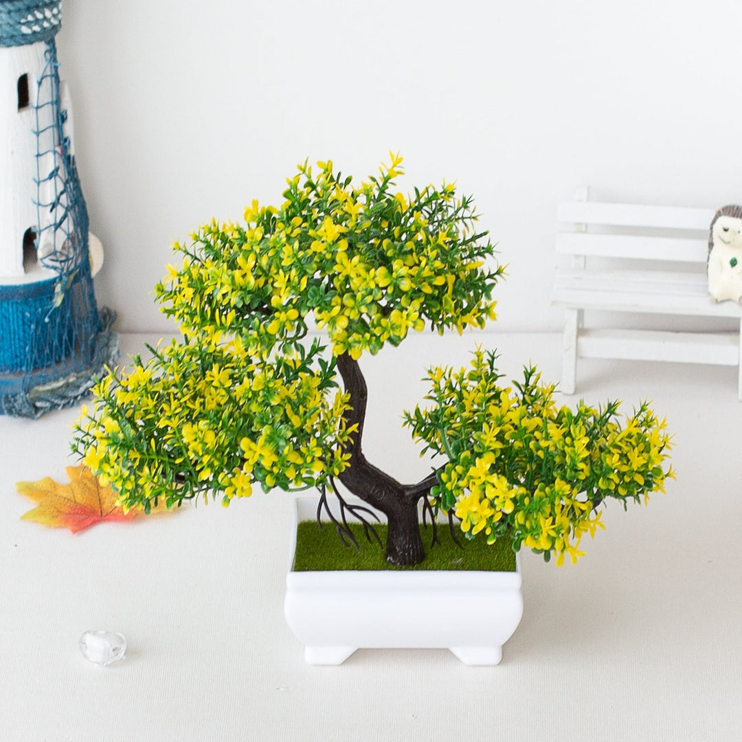 Bonsai roślinny