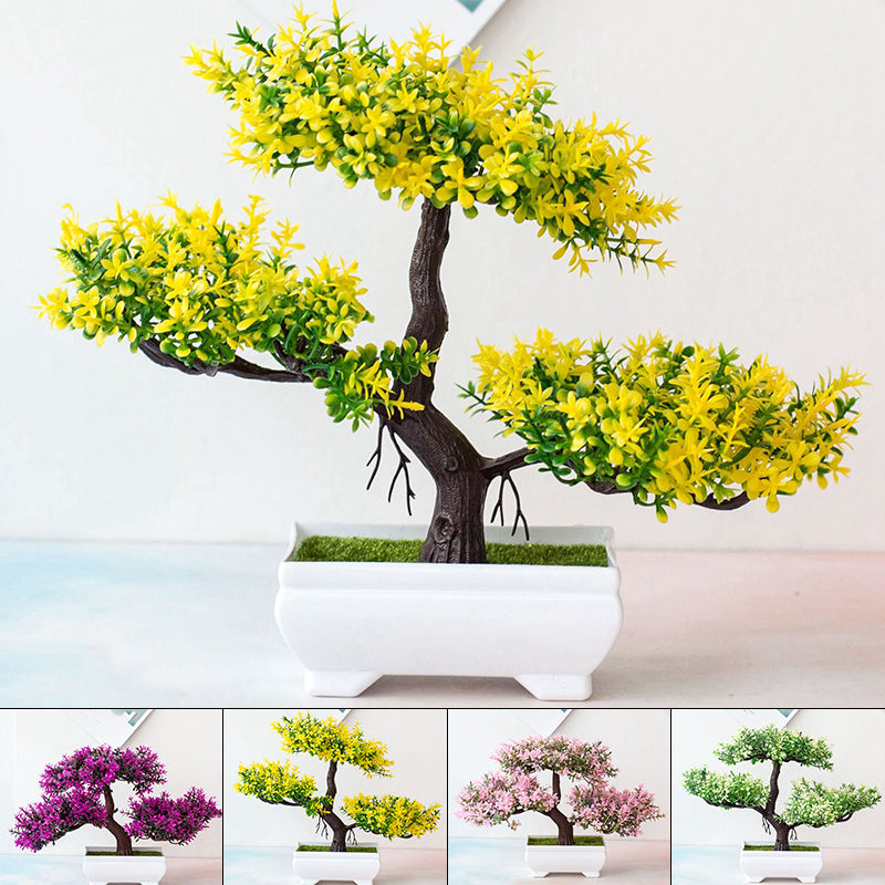 Bonsai roślinny