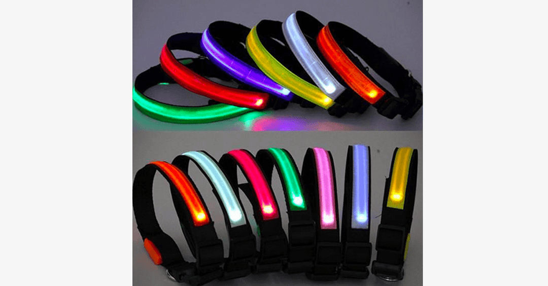 Kola LED dla psów – Miej oko na swojego pupila!