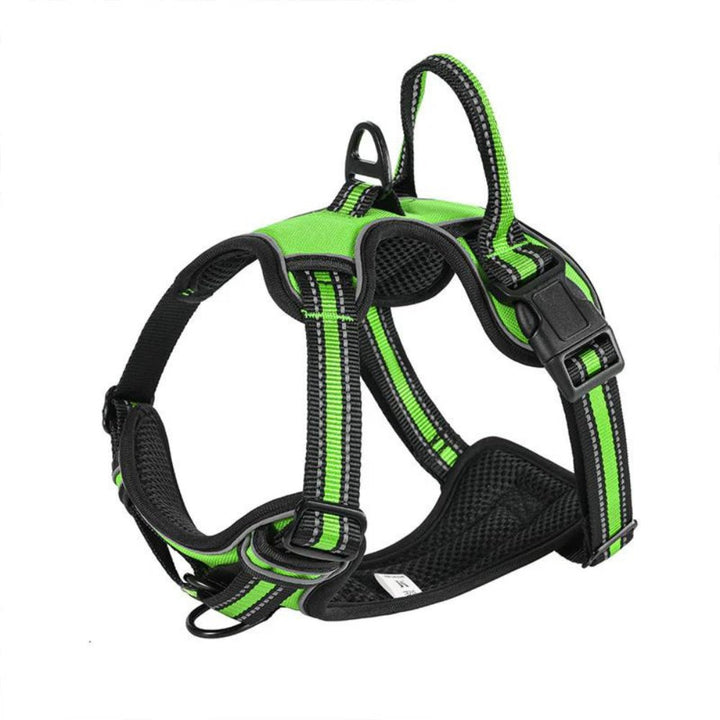 FlexHarness  •  Szelki dla psa bez ciągnięcia
