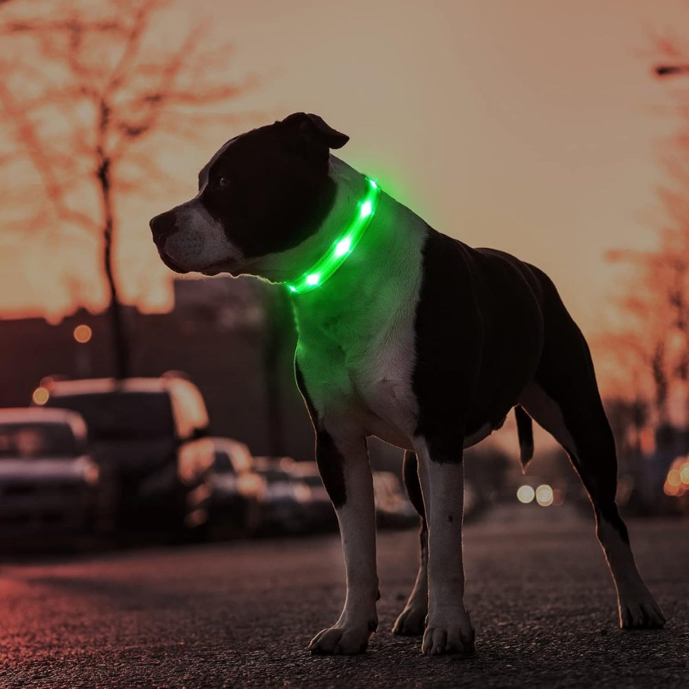 GlowGuard • Obroża dla psa z AirTag