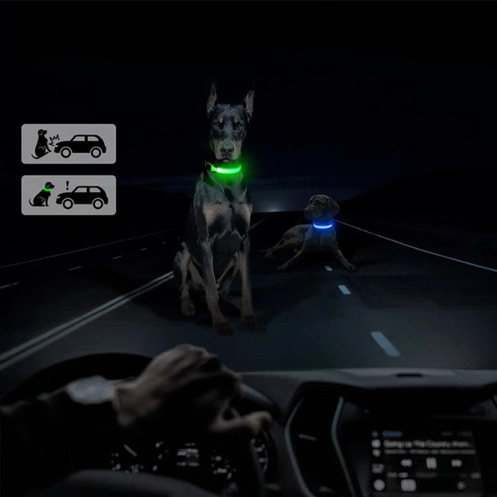 GlowGuard • Obroża dla psa z AirTag