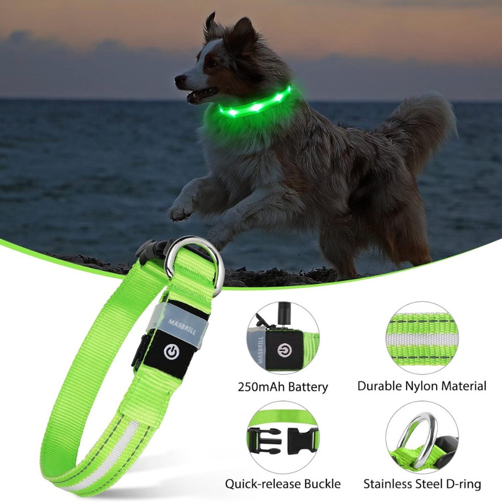 GlowGuard • Obroża dla psa z AirTag