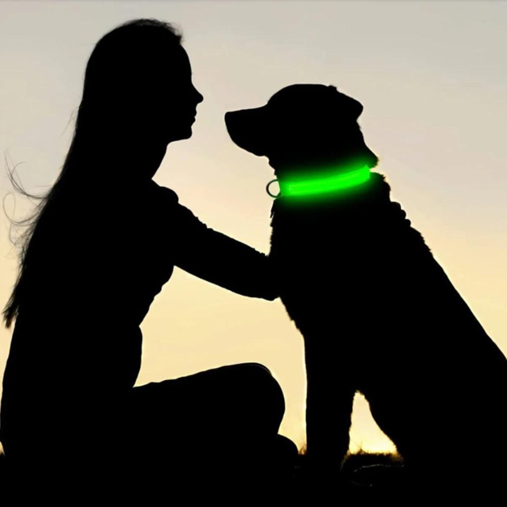 GlowGuard • Obroża dla psa z AirTag