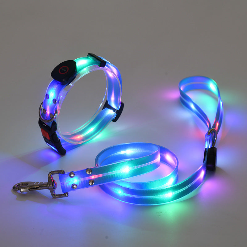 Świecąca obroża LED dla psa z smyczą - NightBright