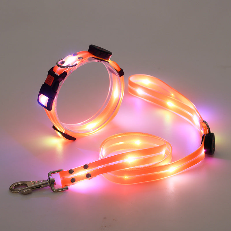 Świecąca obroża LED dla psa z smyczą - NightBright