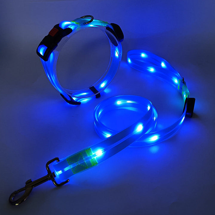 Świecąca obroża LED dla psa z smyczą - NightBright