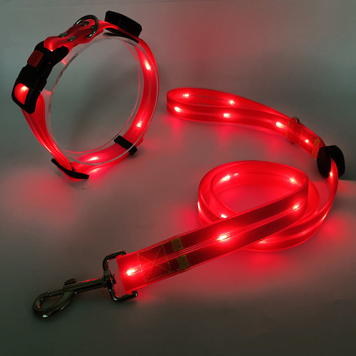 Świecąca obroża LED dla psa z smyczą - NightBright