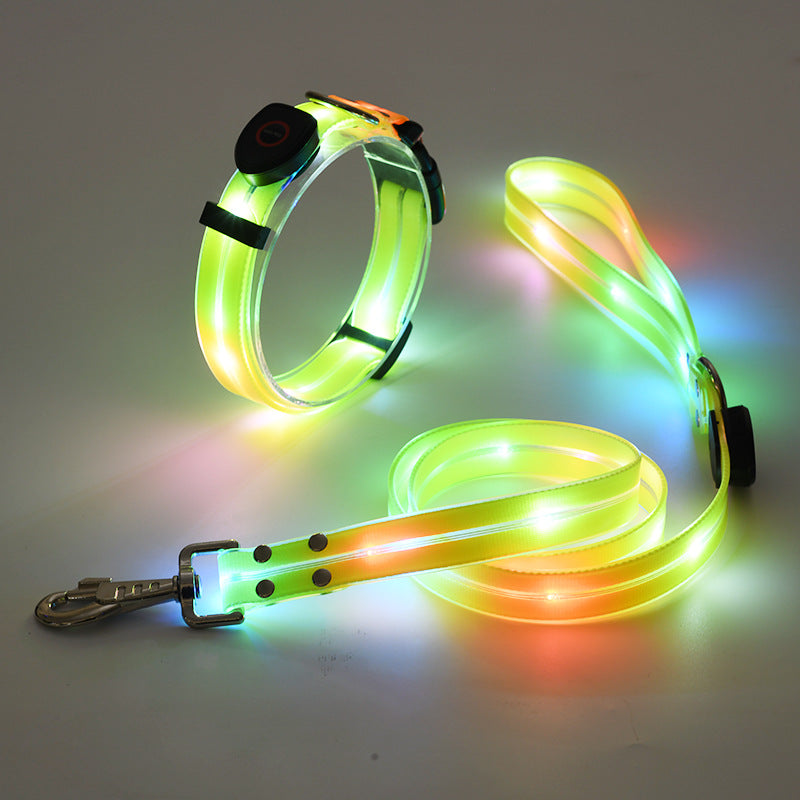 Świecąca obroża LED dla psa z smyczą - NightBright
