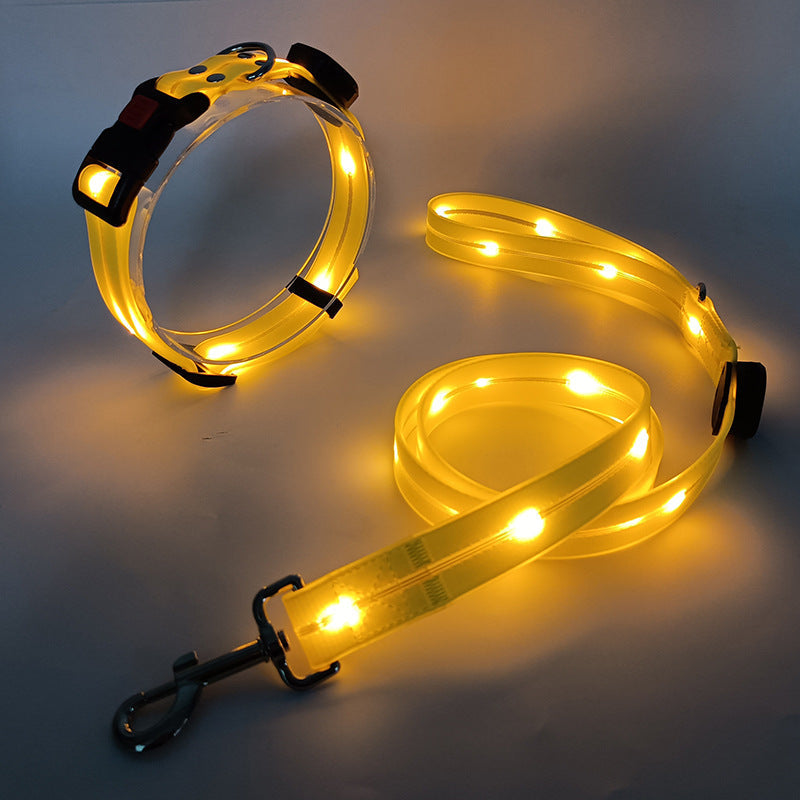 Świecąca obroża LED dla psa z smyczą - NightBright