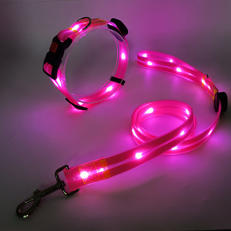 Świecąca obroża LED dla psa z smyczą - NightBright
