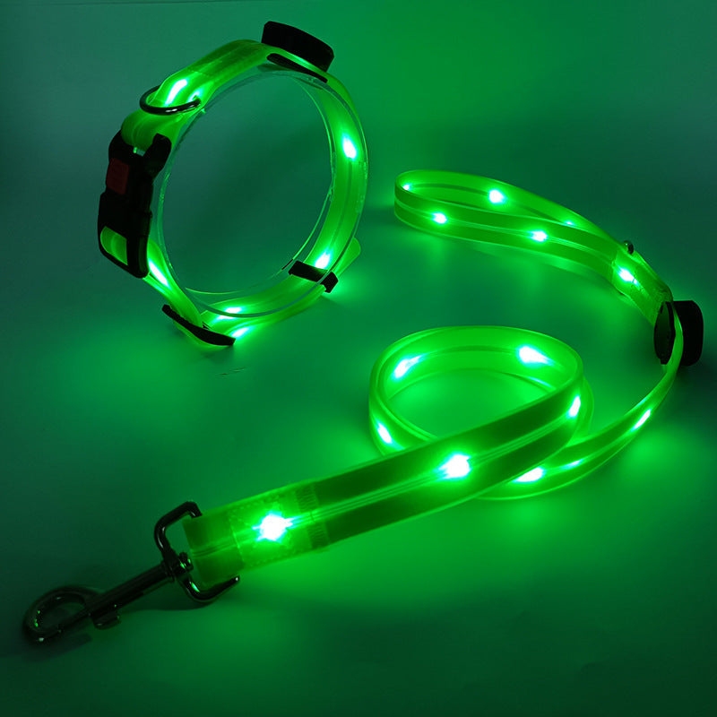 Świecąca obroża LED dla psa z smyczą - NightBright