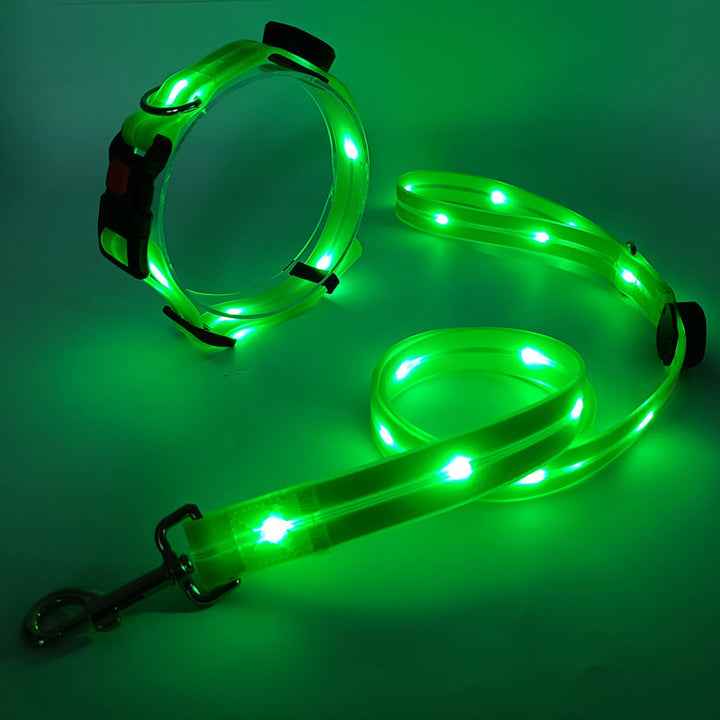 Świecąca obroża LED dla psa z smyczą - NightBright