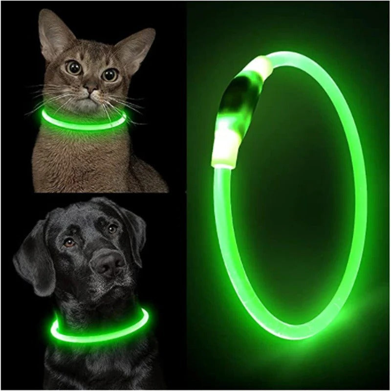 Świecąca obroża dla psa, USB ładowana obroża LED