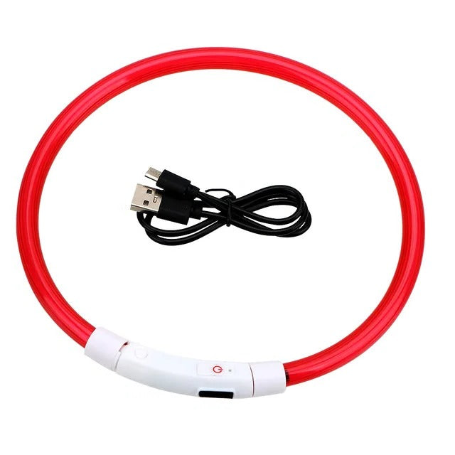 Świecąca obroża dla psa, USB ładowana obroża LED