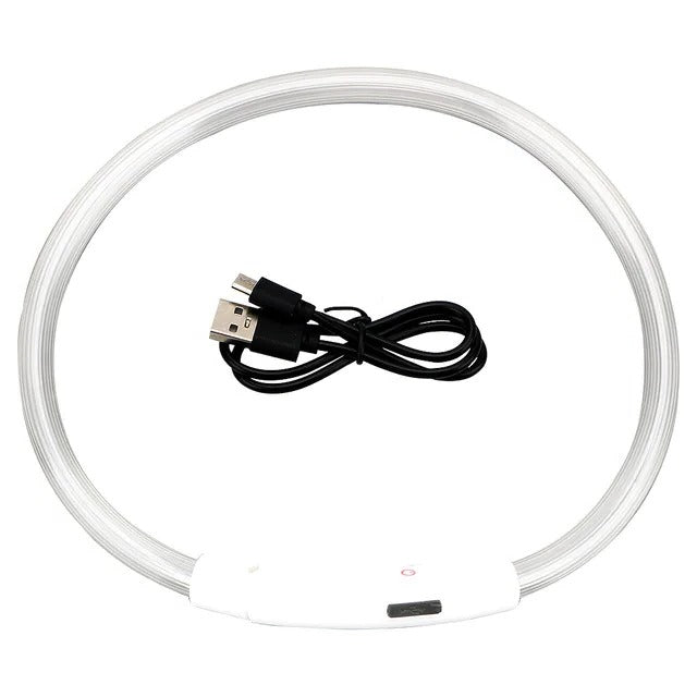 Świecąca obroża dla psa, USB ładowana obroża LED