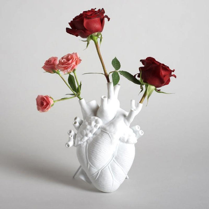 Anatomia Serce Ceramiczne