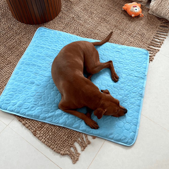 Innowacyjna Mata Chłodząca dla Psów (4x Moc Chłodzenia) - ChillComfort