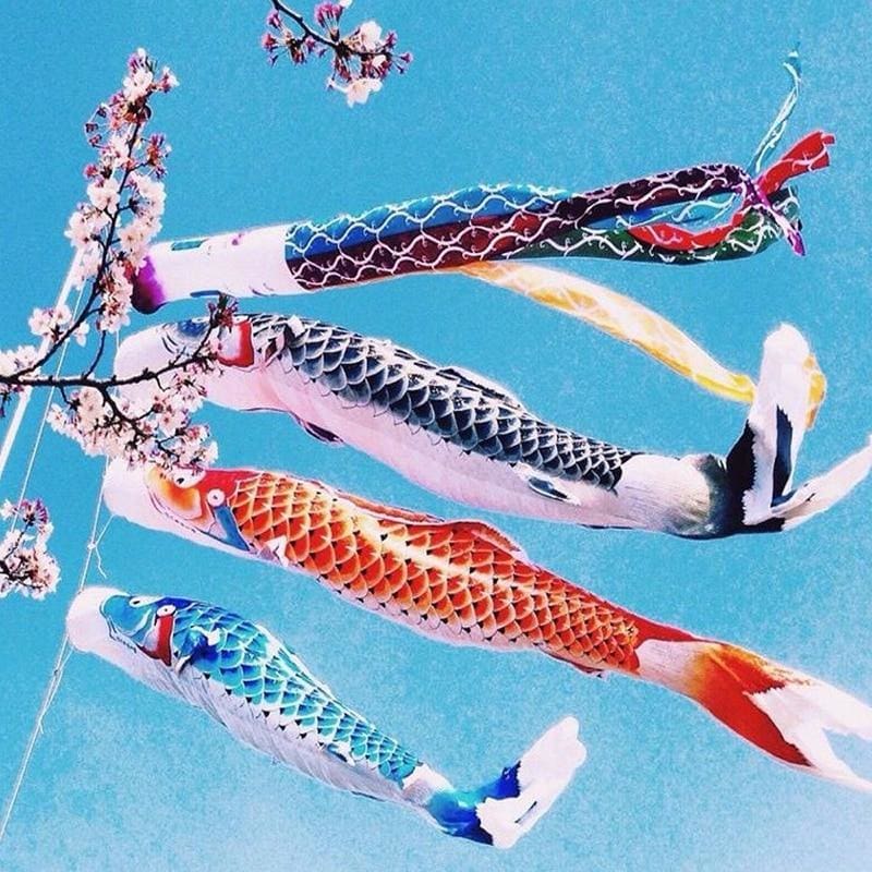 Flaga Koinobori Hanan (3 rozmiary)