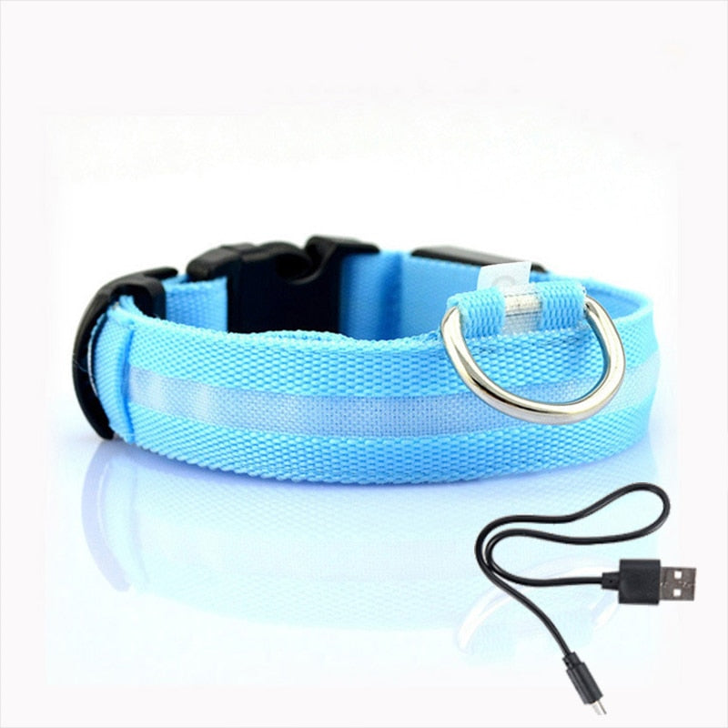 Obroża LED dla Psów - GlowCollar