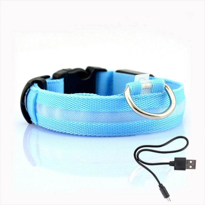 Obroża LED dla Psów - GlowCollar