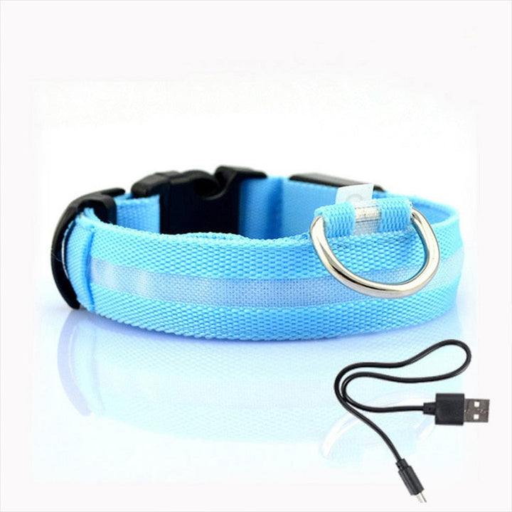 Obroża LED dla Psów - GlowCollar