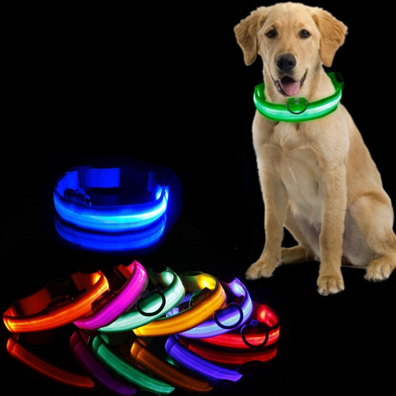 Obroża LED dla Psów - GlowCollar